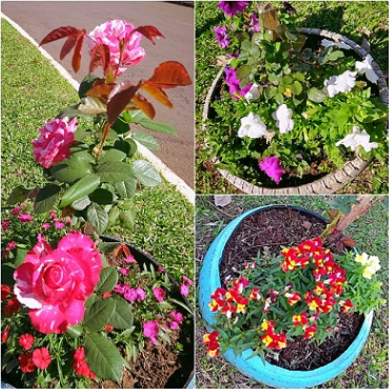 Embelezamento da Cidade